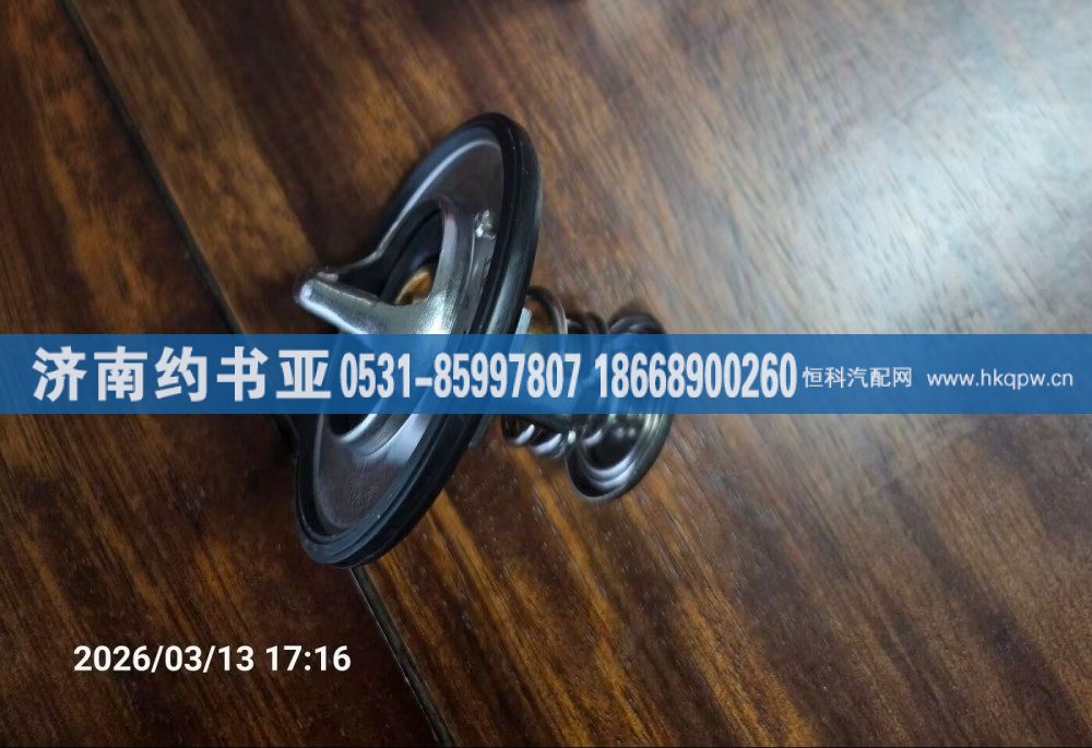 X10018217節(jié)溫器芯