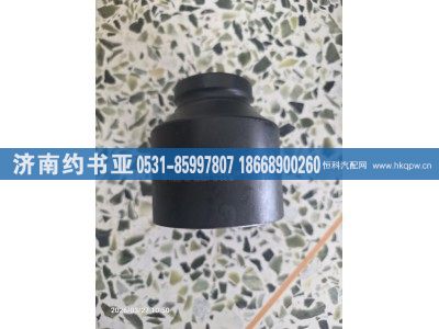 TZ800108,套筒,济南约书亚汽车配件有限公司（原华鲁信业）