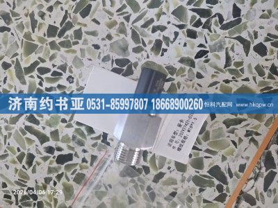 202V27421-0263,压力传感器,济南约书亚汽车配件有限公司（原华鲁信业）