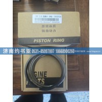 3932520活塞环