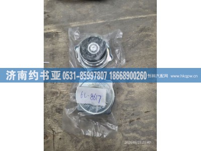6L-8617,盖,济南约书亚汽车配件有限公司（原华鲁信业）