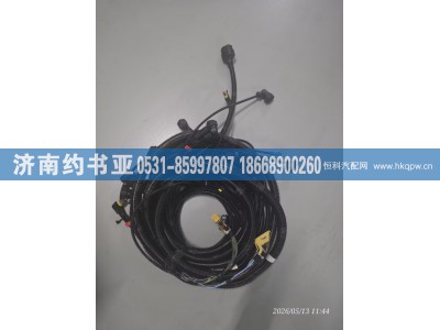 AZ9925774431,线束,济南约书亚汽车配件有限公司（原华鲁信业）