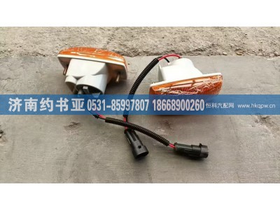 WG9925720012,灯,济南约书亚汽车配件有限公司（原华鲁信业）