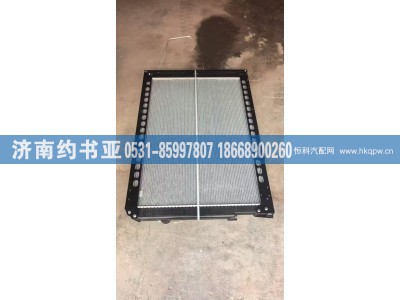 H4130020107A0散热器图1