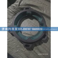 VG1246080026油泵发兰