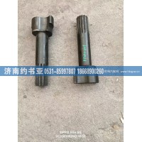 WG4005455501+009左凸轮轴