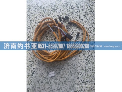 299-2853,线束,济南约书亚汽车配件有限公司（原华鲁信业）