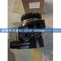 DZ97189470213转向助力泵