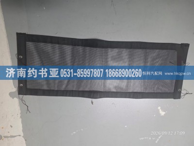 H4119311001A1,H4119311001A1防虫网,济南约书亚汽车配件有限公司（原华鲁信业）