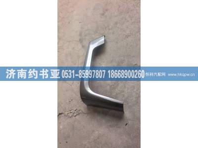 H4831013701A0,H4831013701A0装饰板,济南约书亚汽车配件有限公司（原华鲁信业）