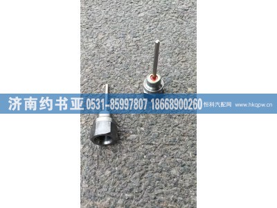 WG2209230010,WG2209230010,济南约书亚汽车配件有限公司（原华鲁信业）