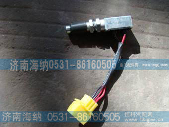 制动灯开关WG9725716002