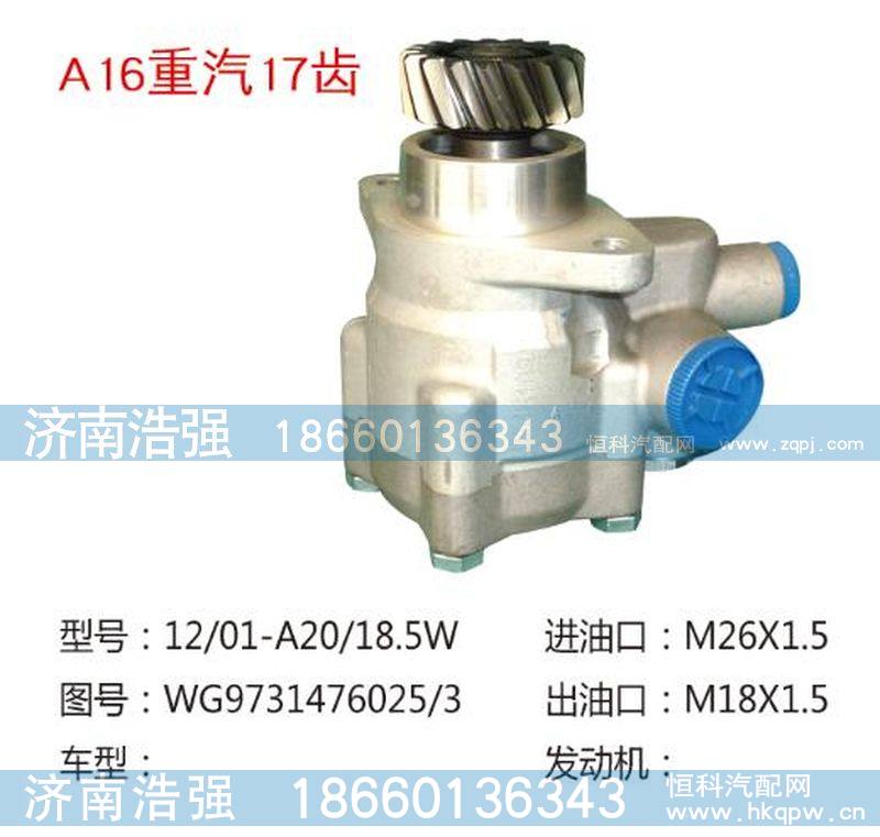 WG9725476025-3(QX861-4),重汽17齿泵,济南浩强助力泵发展有限公司