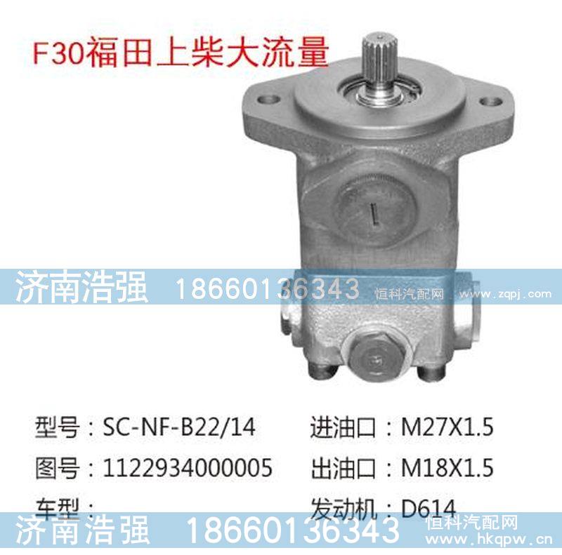 1122934000005,福田上柴大流量转向助力液压泵,济南浩强助力泵发展有限公司