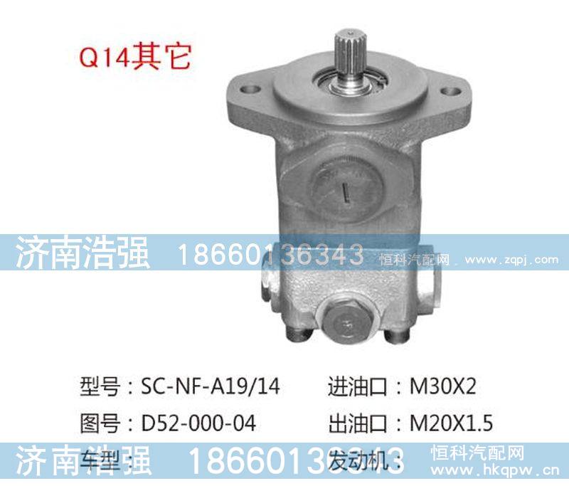 D52-000-04,其他转向助力泵，转向泵,济南浩强助力泵发展有限公司