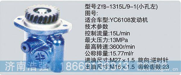 ZYB-1315L-9-1小孔左,转向助力泵，转向助力液压泵，转向助力叶片泵,济南浩强助力泵发展有限公司