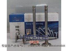 480,扬柴排气门,济南华锐特汽车零部件有限公司