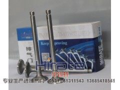 480,扬柴排气门,济南华锐特汽车零部件有限公司