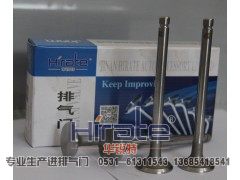 480,扬柴排气门,济南华锐特汽车零部件有限公司