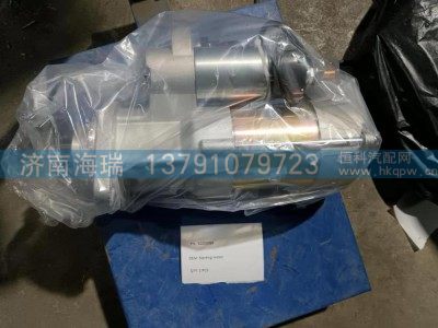 61000099启动电机图1