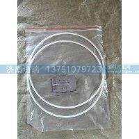 130202000093A062环形密封件