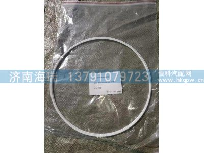 130202000093A093,环密封件 EXT 266-3670-1,济南海瑞重型汽车经销中心