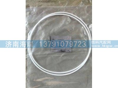 130202000093A093,环密封件 EXT 266-3670-1,济南海瑞重型汽车经销中心