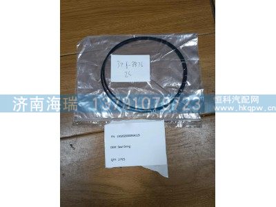 130202000093A125,密封圈,济南海瑞重型汽车经销中心