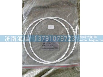 130202000093A139,环密封扩展,济南海瑞重型汽车经销中心