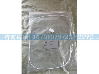 130202000093A295环形密封件图2