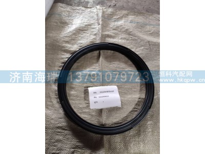 130202000099A078，29546163锁定活塞密封环图2