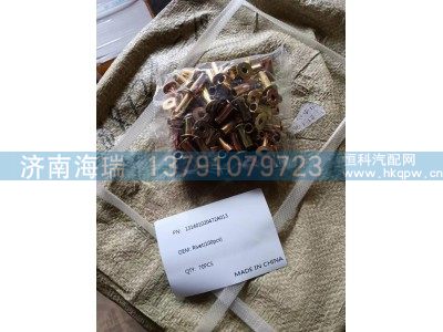 131401020472A013,铆钉(100颗),济南海瑞重型汽车经销中心