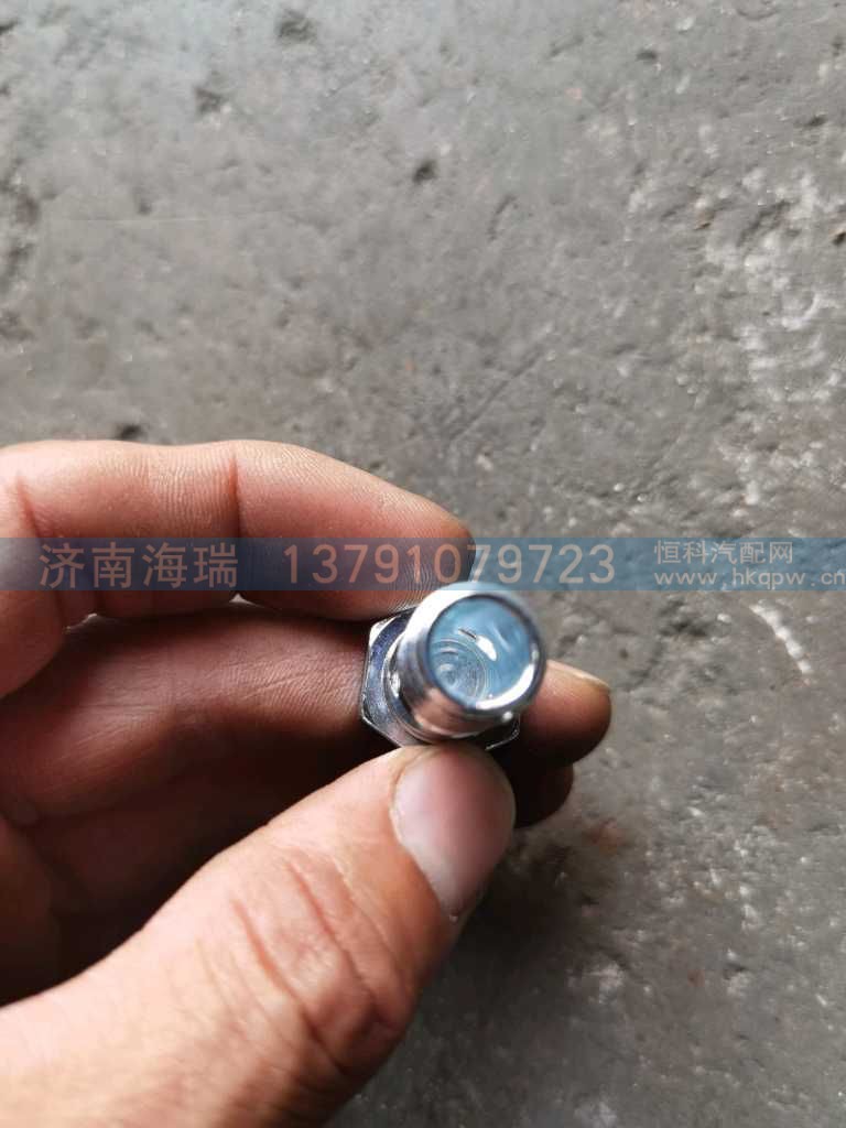 ,,济南海瑞重型汽车经销中心