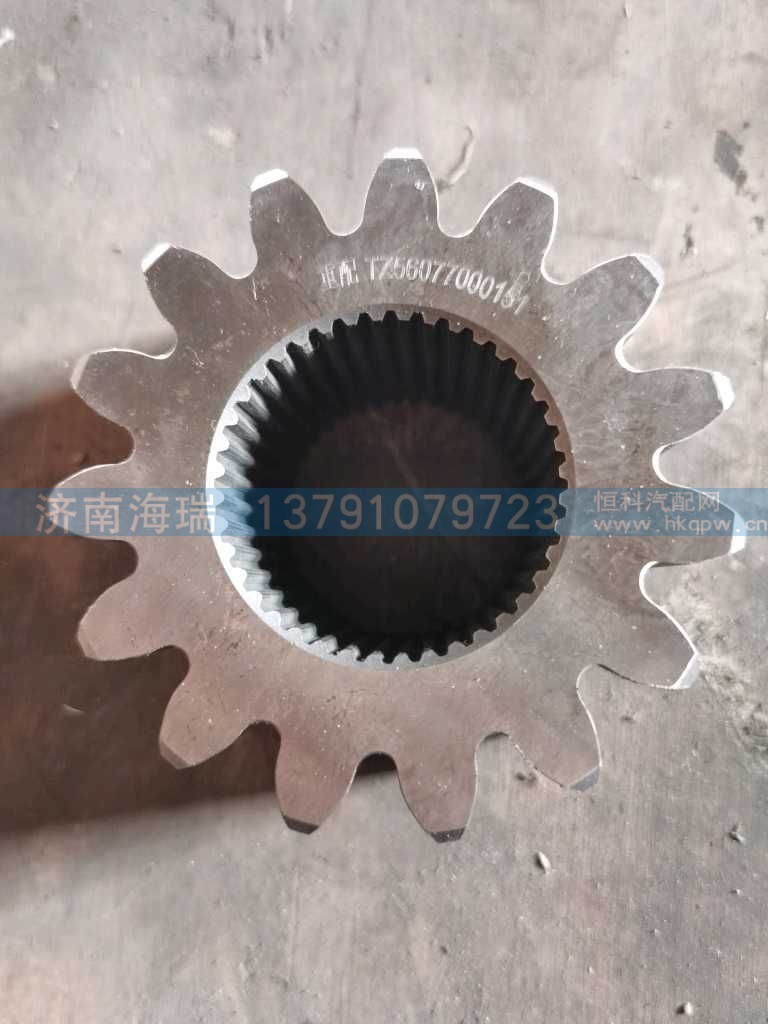 轮边太阳轮 TZ56077000151