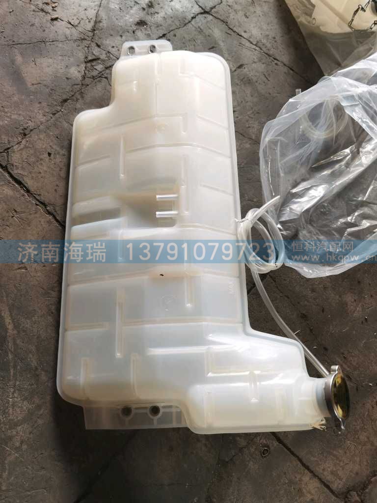 膨胀水箱 DZ97259533030