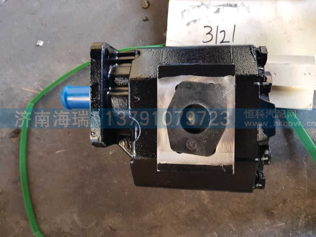举升泵 CBZTG3160-B1F3H1