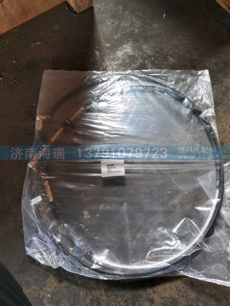 选档软轴总成 10.8,DZ96319240614