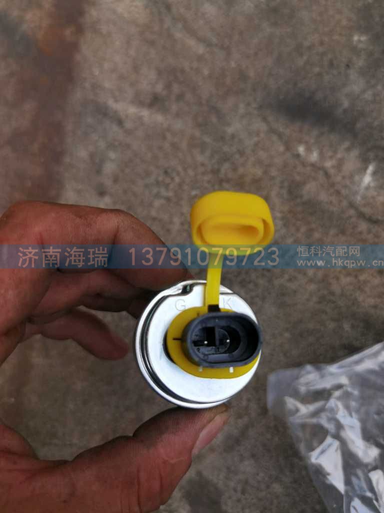 ,,济南海瑞重型汽车经销中心