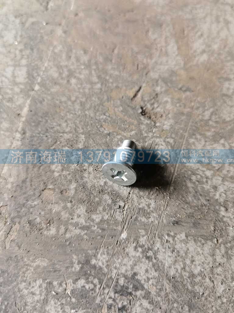 ,,济南海瑞重型汽车经销中心