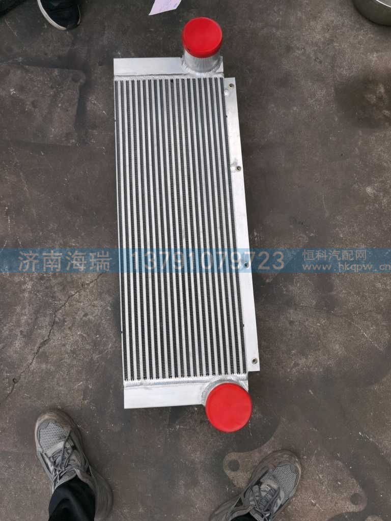 4110705272,,济南海瑞重型汽车经销中心