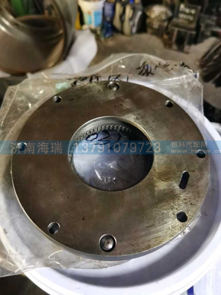 油泵总成,WG9970320102