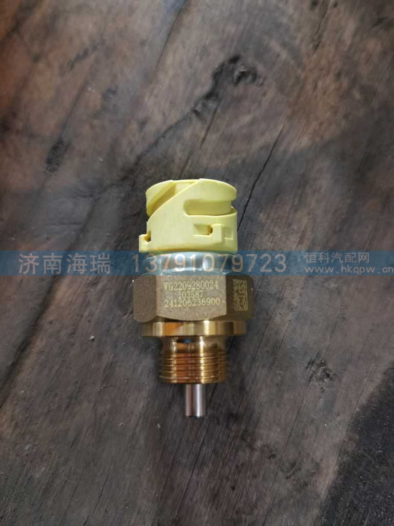 WG2209280024,,济南海瑞重型汽车经销中心