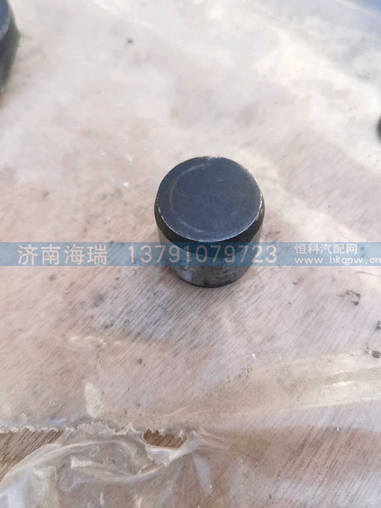 ,,济南海瑞重型汽车经销中心