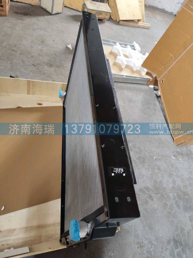 87013000249水箱總成