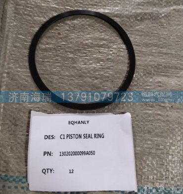 130202000099A050/29546160C1活塞密封环
