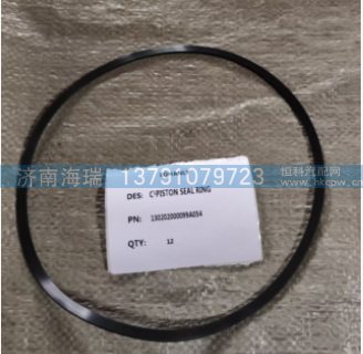 130202000099A054/29546156C1活塞密封环