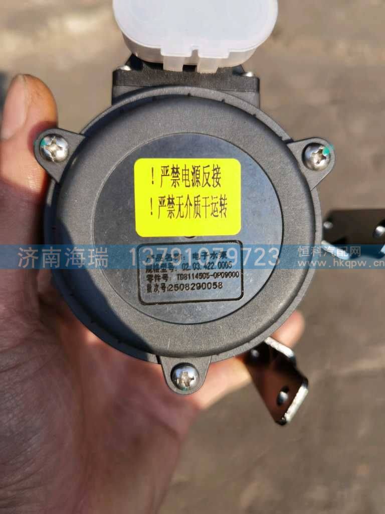 TD8114505-0P09000电子水泵 暖风