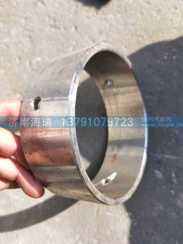 平衡轴衬套 w291870C239B