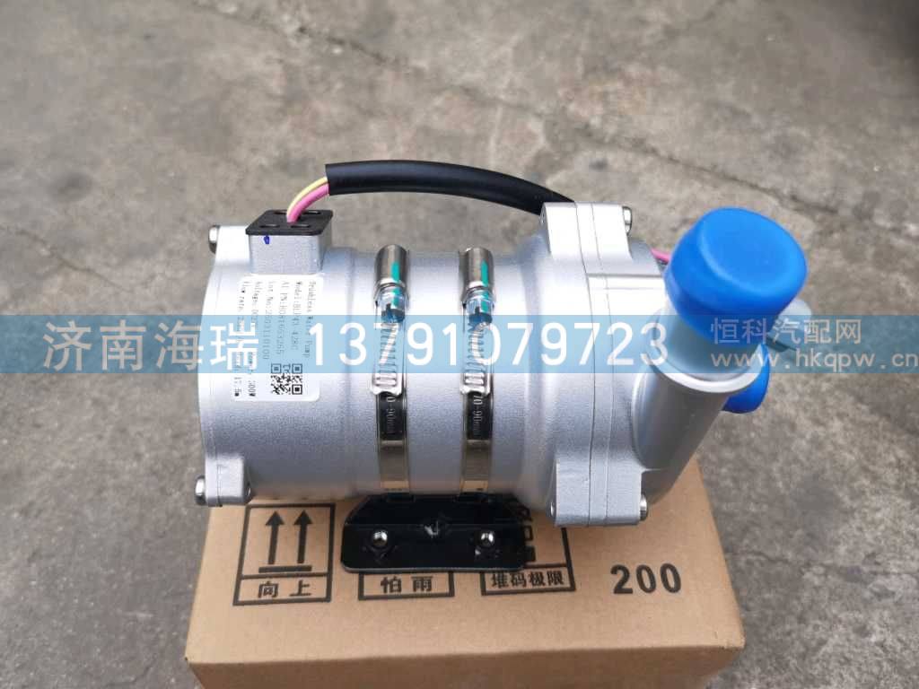 电子水泵 601000286