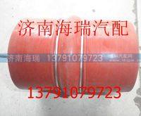 陜汽德龍內氟外硅膠管 